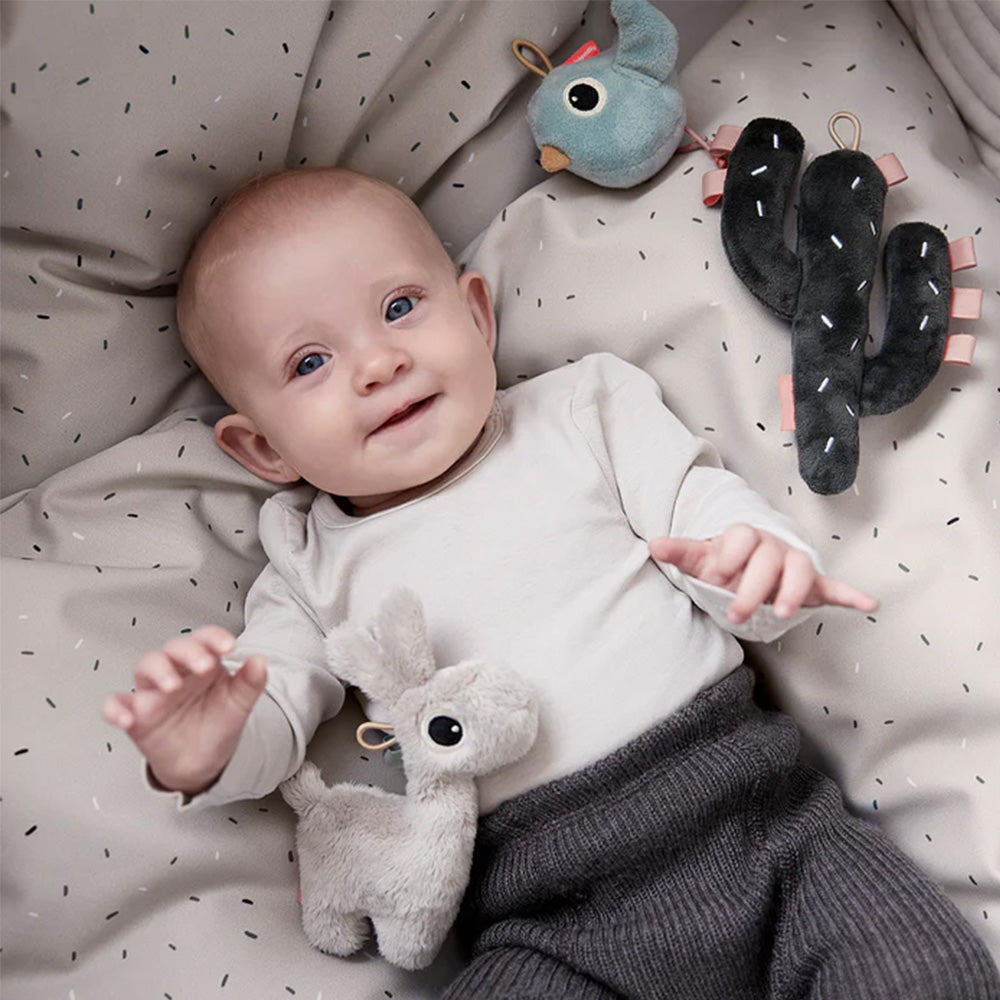 Set de juguetes sensoriales pequeños Lalee varios colores