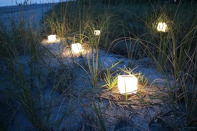 Linterna solar recargable plegable LED