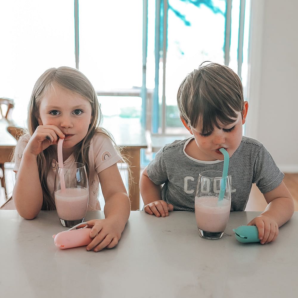 Bombilla en caja para llevar, Oso Azul oscuro