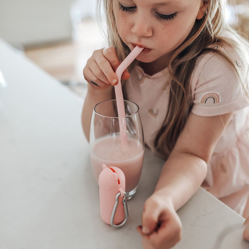 Bombilla en caja para llevar, Oso Rosa viejo