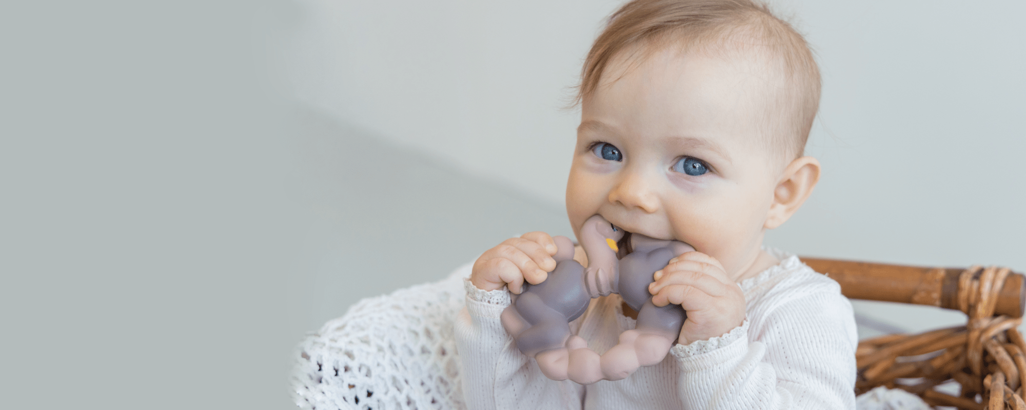 Hora de Comer - Fashion Toys