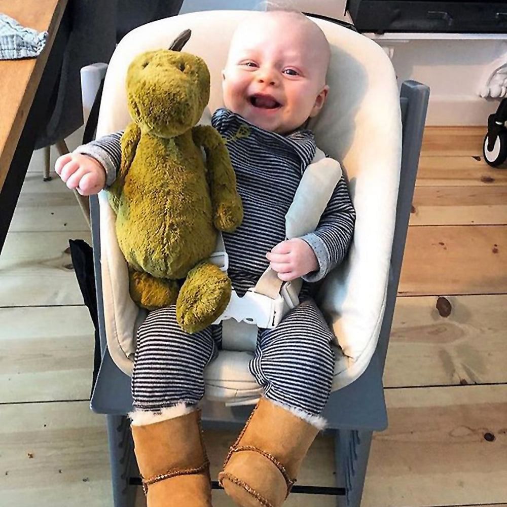 Peluche Dinosaurio Mediano